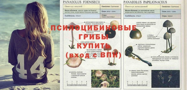 прущая мука Алексин